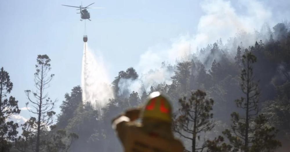 Combaten un incendio forestal en el Parque Nacional Los Alerces de Chubut