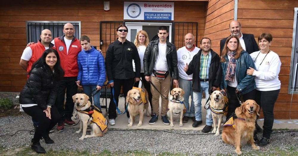 Dónde y cómo entrenan a los perros guía argentinos que ayudan a personas ciegas