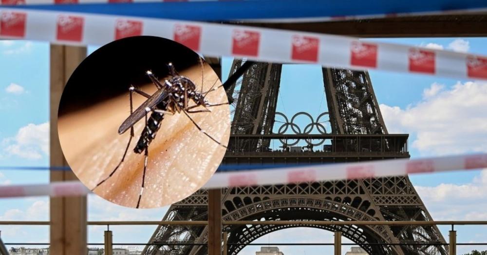 ¿Dengue en los Juegos Olímpicos? Por qué la enfermedad pone en alerta a París