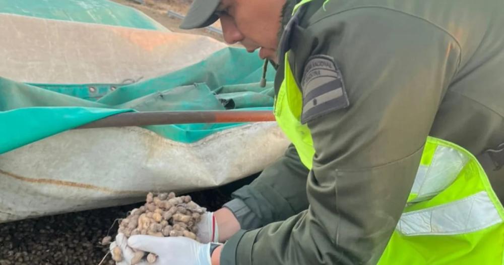 En tres operativos realizados en Córdoba, Gendarmería secuestró un arma, municiones y 100 toneladas de cereales y oleaginosas