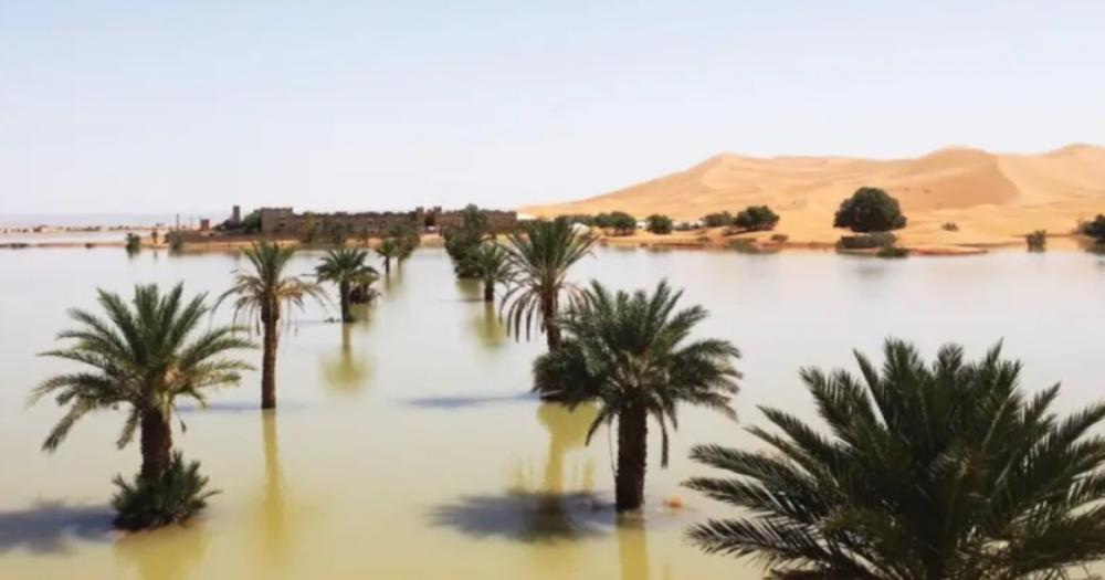 Espectáculo pocas veces visto en el Sahara: ríos de agua entre palmeras y dunas