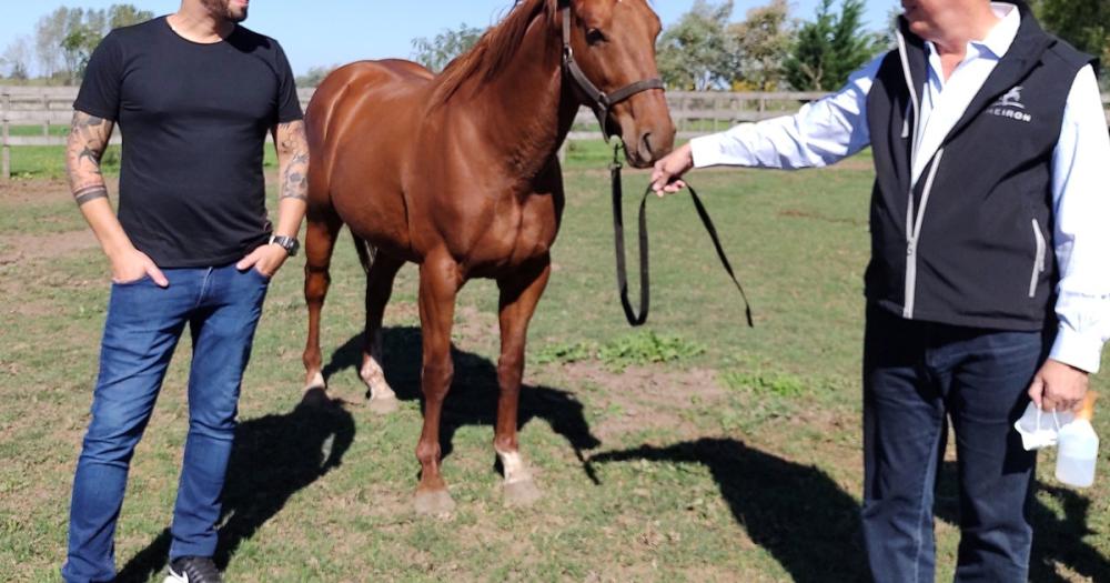 Una firma argentina vuelve a revolucionar el negocio de los caballos polo