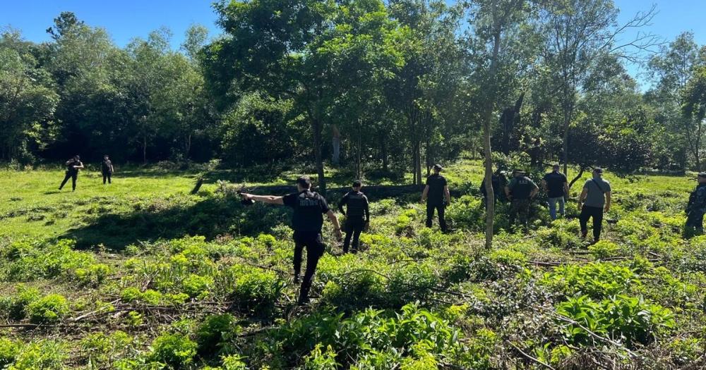 Mató con una escopeta a su pareja y se ahorcó en medio del campo