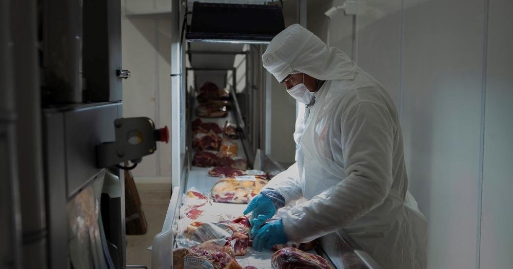 El Gobierno distribuyó la cuota para exportar carne a Estados Unidos