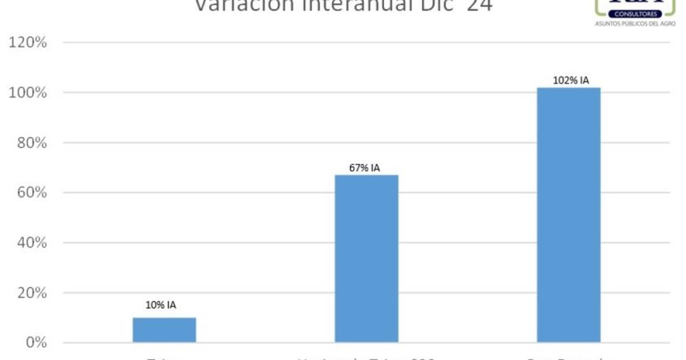 La quita de retenciones no implica inflación: “el precio de los granos influye poco o nada en lo que paga el consumidor”