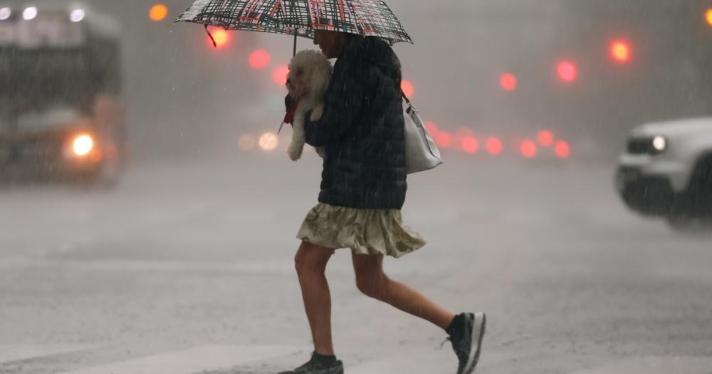 Calor extremo en Buenos Aires: qué día baja la temperatura tras los 40 grados