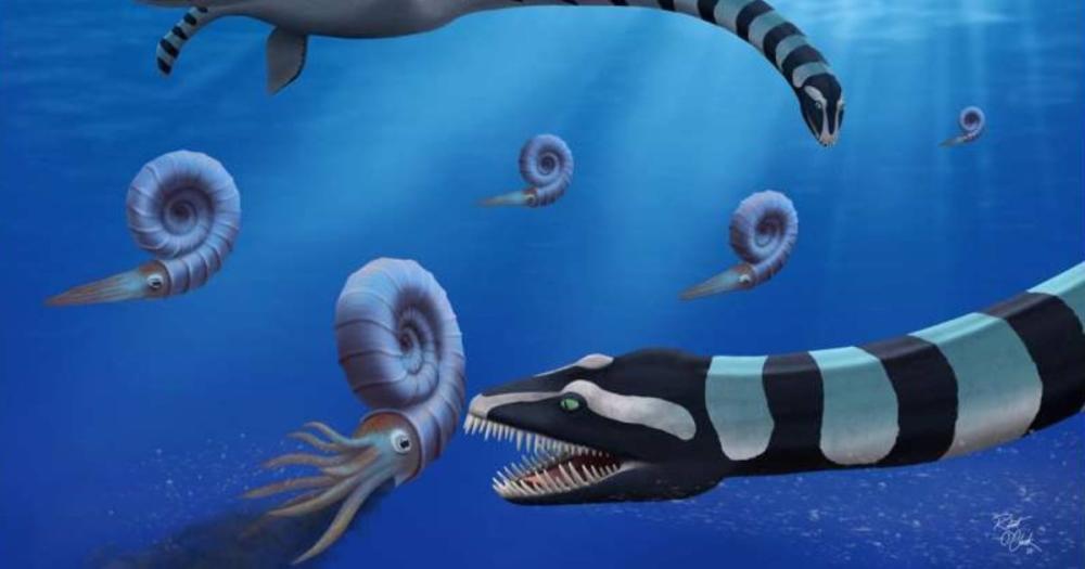 Nuevo género de monstruo marino del Cretácico con cuello de 12 metros