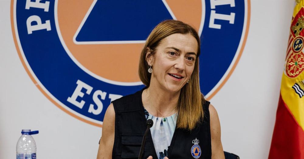 Barcones afirma que ninguna comunidad autónoma ha pedido al Gobierno decretar la emergencia nacional por los incendios
