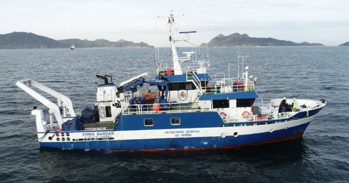Gobierno y Azti inician la campaña Juvena para estudiar el estado de las anchoas jóvenes en golfo de Vizcaya