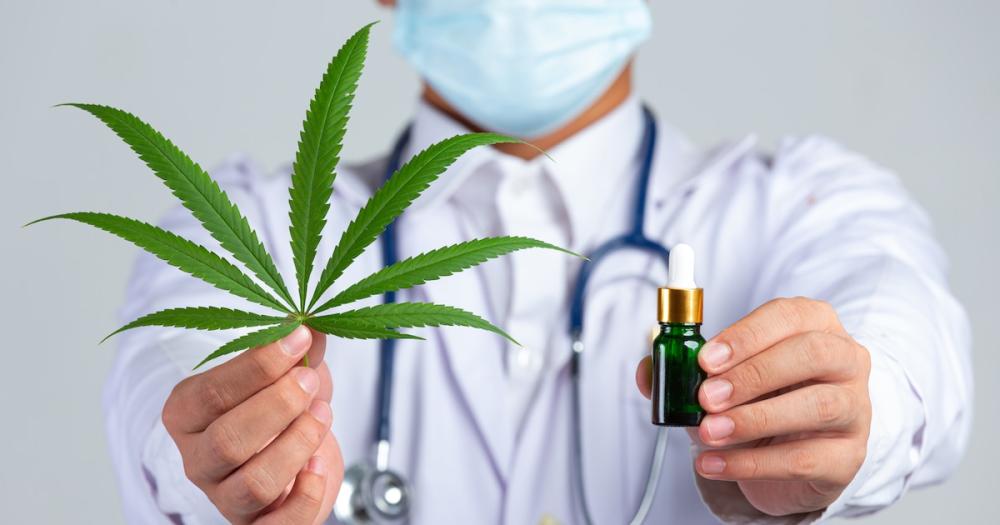 España aprueba el uso del cannabis medicinal