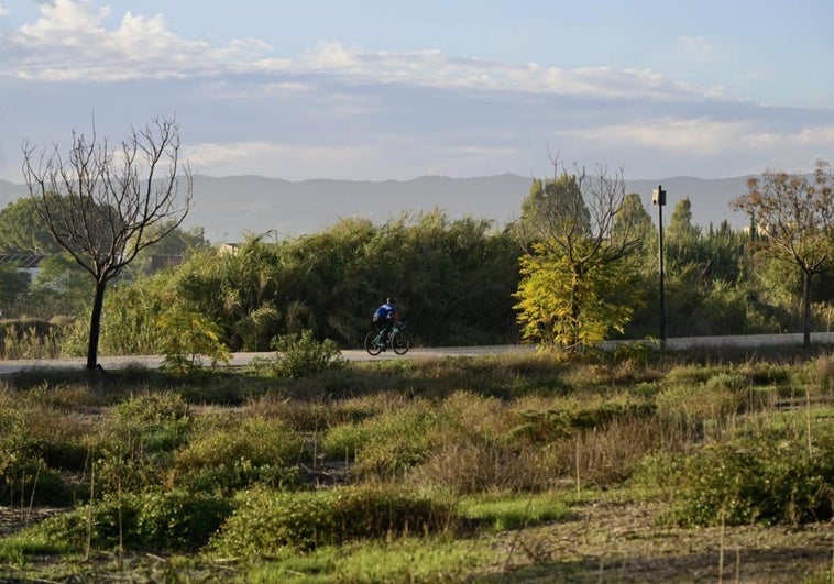 La recuperación del Vivillo, en Murcia, adjudicada por 1,2 millones