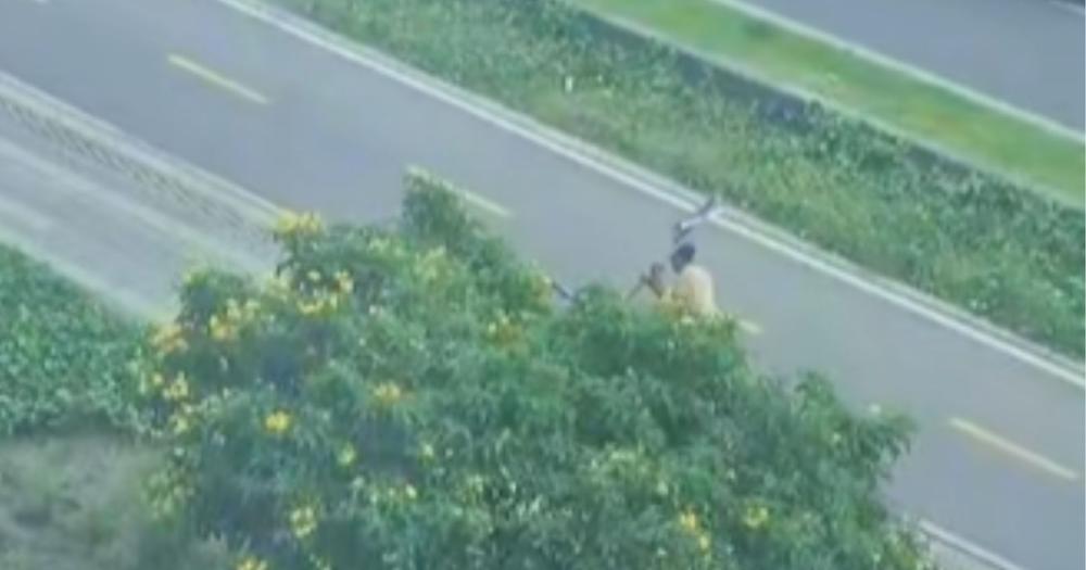 Video viral revela robo de bicicleta frente a Plaza Claro en Bogotá