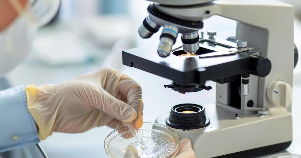 Adorni anunció la reestructuración de un organismo clave de la Secretaría de Innovación, Ciencia y Tecnología