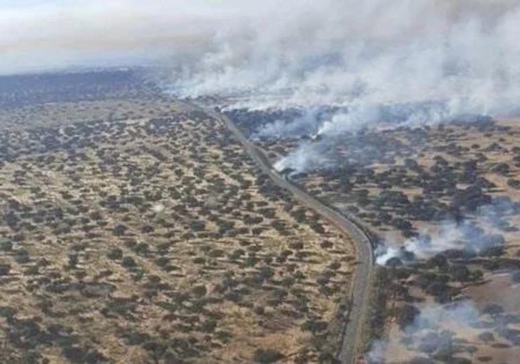 Investigan por 29 incendios forestales a un camionero de transporte de ganado que circuló con la rampa desplegada