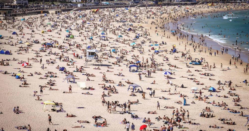Atentado en Australia: cómo es Bondi Beach y por qué es una playa tan famosa