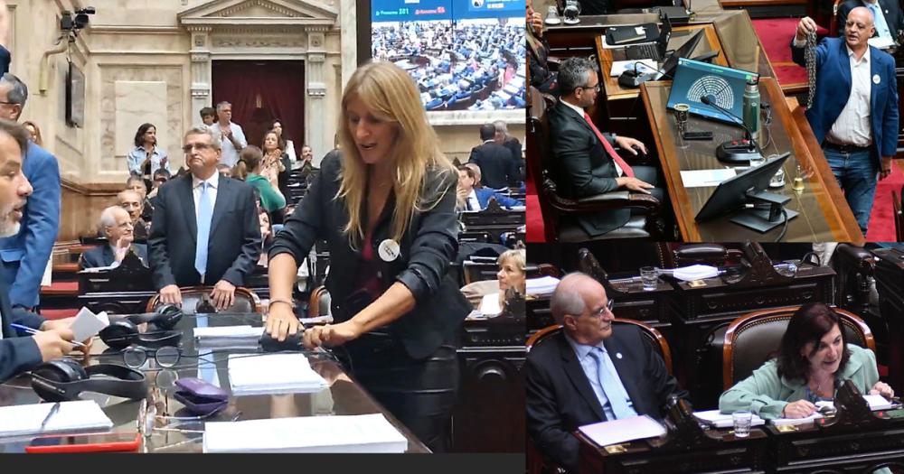 Decadencia de La Cámpora y otro triunfo de la agrupación Luchemos por la Nuestra